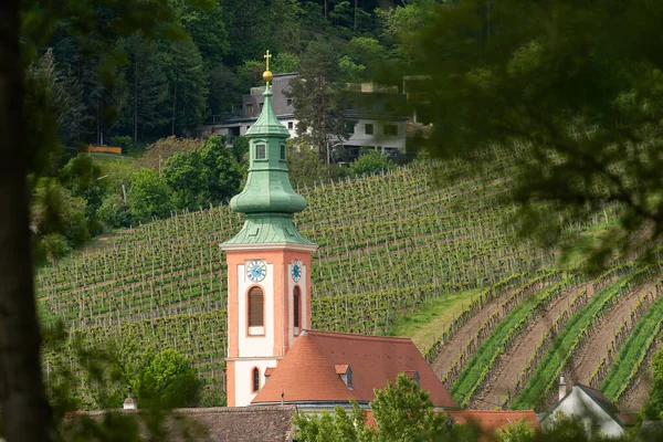 Kerk Van Kahlenbergerdorf Vanaf Donau Lente Oostenrijk — Stockfoto