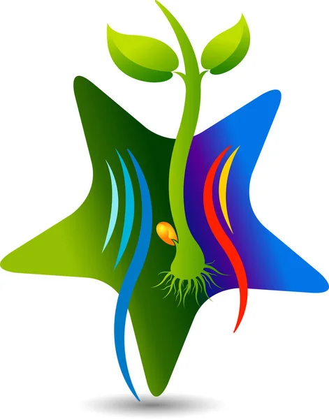 Star growth plant logo — Stock Vector