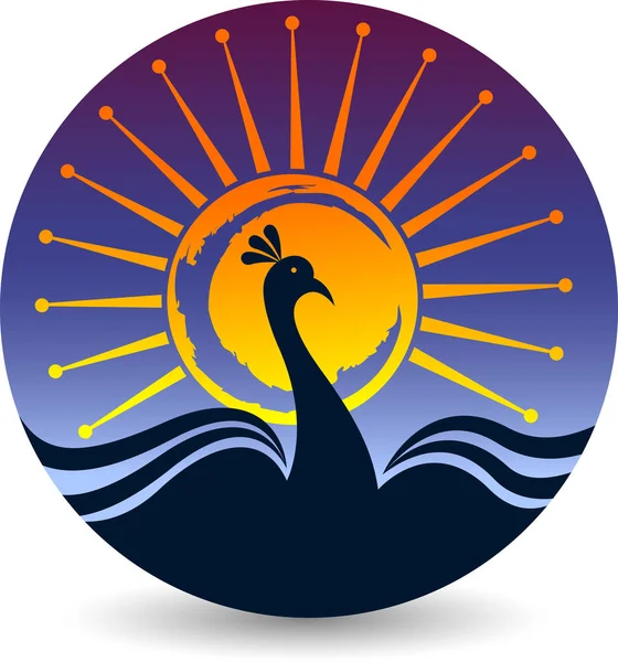 Lichte peacock logo — Stockvector