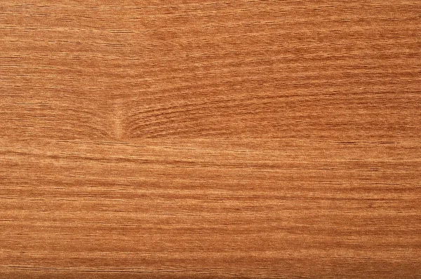 Primer Plano Plano Sobre Fondo Textura Mica Madera —  Fotos de Stock