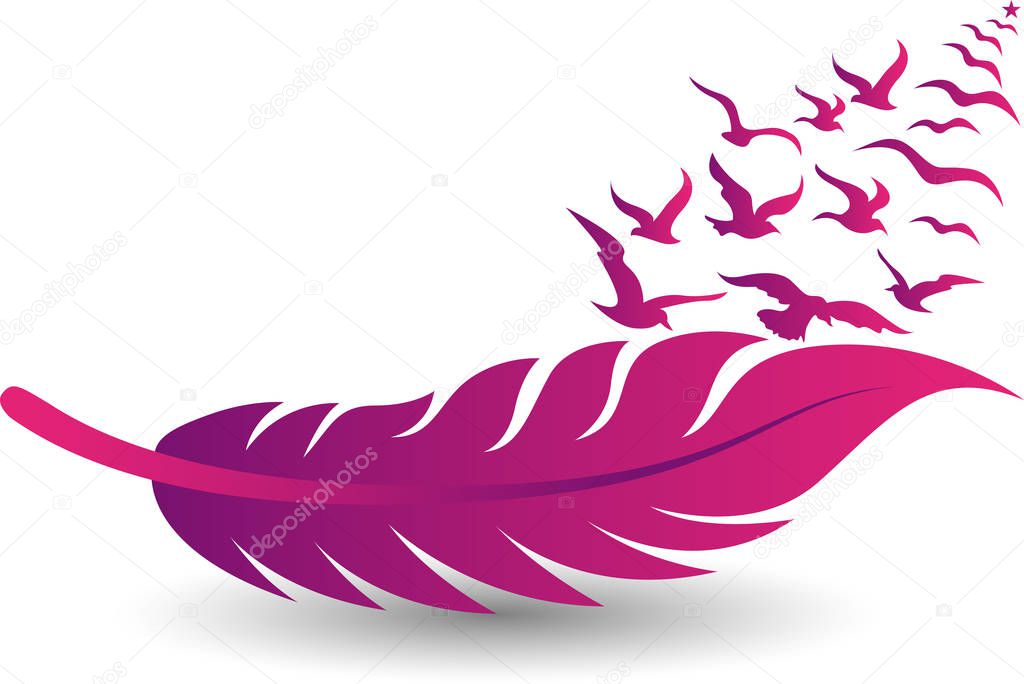 Illustration art of a pink feather and birds fly logo with isolated background