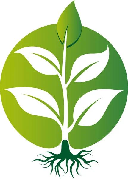Τέχνη Εικονογράφησης Λογότυπου Πράσινου Φυτού Απομονωμένο Υπόβαθρο — Διανυσματικό Αρχείο