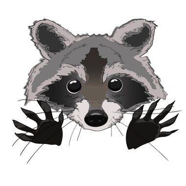 Raccon sanatı