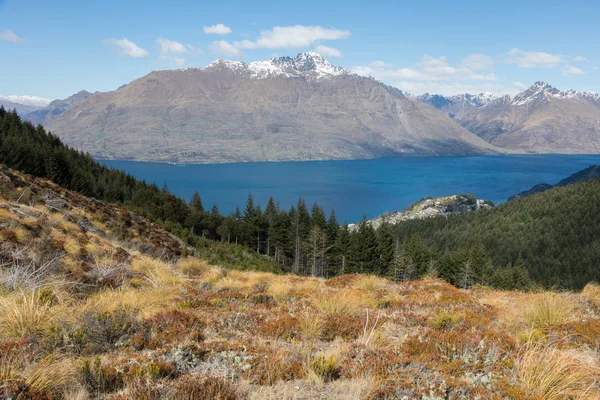 Od szczytu wzgórza Queenstown patrząc wstecz na jezioro Wakatipu na wyspie Południowej Nowej Zelandii — Zdjęcie stockowe