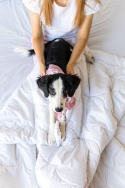 küçük köpek yavrusu ile birlikte kadın evde yatakta yalan seçici odak