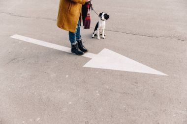 köpek yavrusu ile birlikte sokakta duran kadın kırpılmış atış