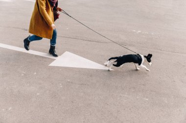 köpek yavrusu ile birlikte sokakta yürüyen kadın kırpılmış atış