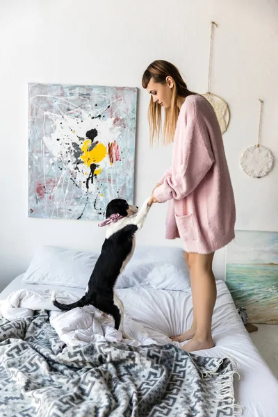 여자와 아침에 침대에 춤추는 강아지의 — 스톡 사진