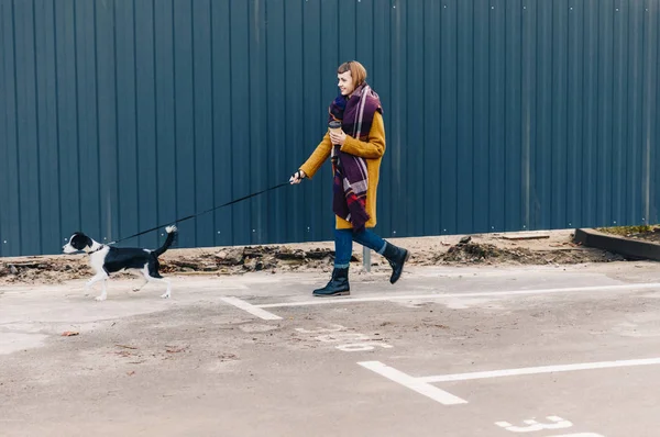 Vedere Laterală Tinerei Femei Elegante Care Merge Stradă Împreună Cățelușul — Fotografie, imagine de stoc