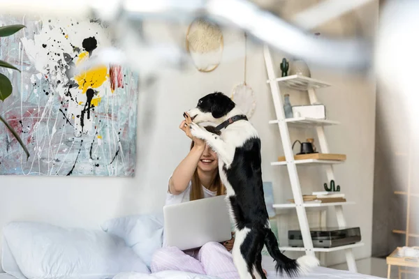 Focalizzazione Selettiva Della Donna Pigiama Che Gioca Con Cucciolo Mattino Foto Stock