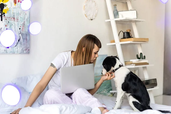 Side View Woman Laptop Knees Looking Little Puppy Sitting Bed Royalty Free Stock Photos