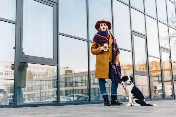 Femeie Elegantă Pălărie Jachetă Cățeluș Plumb Câine Pozând Stradă — Fotografie, imagine de stoc