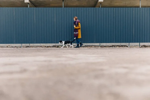 Vista lateral da jovem mulher elegante andando na rua junto com filhote de cachorro — Fotografia de Stock