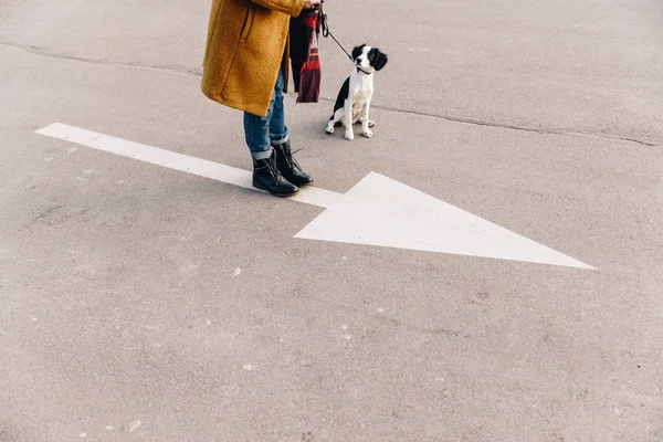 Ritagliato colpo di donna in piedi sulla strada insieme con cucciolo — Foto stock