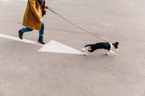 Обрезанный снимок женщины, идущей по улице вместе с щенком — стоковое фото
