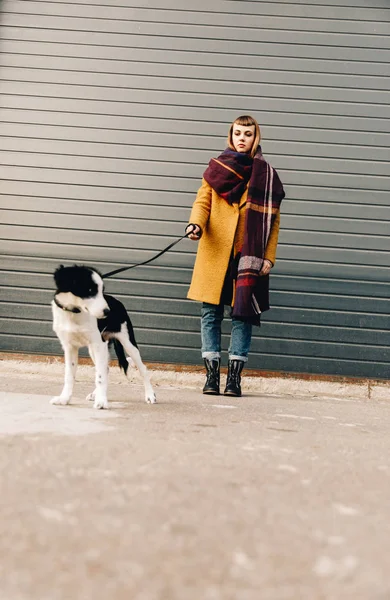 Foco seletivo de mulher jovem com filhote de cachorro na liderança do cão em pé na rua — Fotografia de Stock
