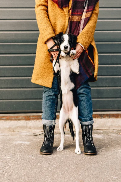 Vue partielle de la femme et du petit chiot debout dans la rue — Photo de stock