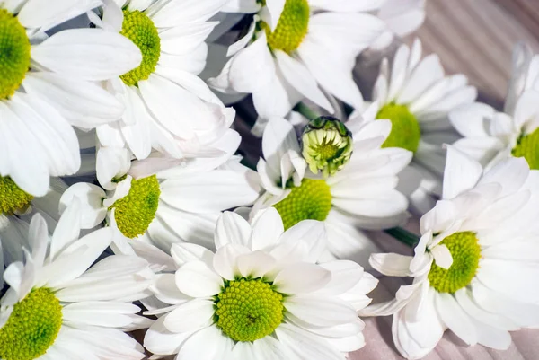 Foto Cerca Flores Blancas Sobre Fondo Madera — Foto de Stock