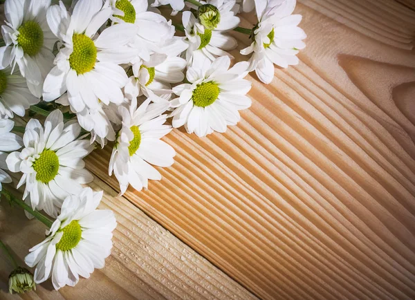 Nahaufnahme Der Weißen Blumen Der Oberen Linken Ecke Auf Dem — Stockfoto