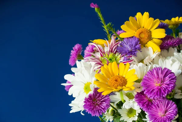 Blumenstrauß Auf Blauem Hintergrund Nahaufnahme — Stockfoto