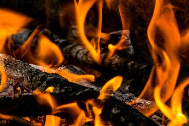 Yanan odun ve kömür yakın çekim fotoğraf