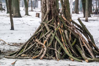  Kar çerçevede bir ağaca yığılmış bir ateş için odun fotoğrafı