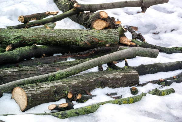 Foto Trä Stockarna För Brasa Eller Öppen Spis Snön — Stockfoto