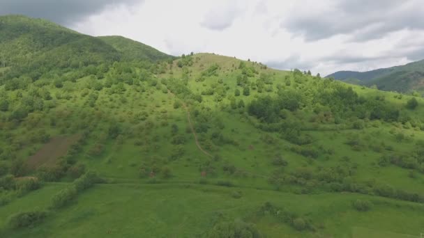 Panoráma a hegy tetejét-zöldek — Stock videók