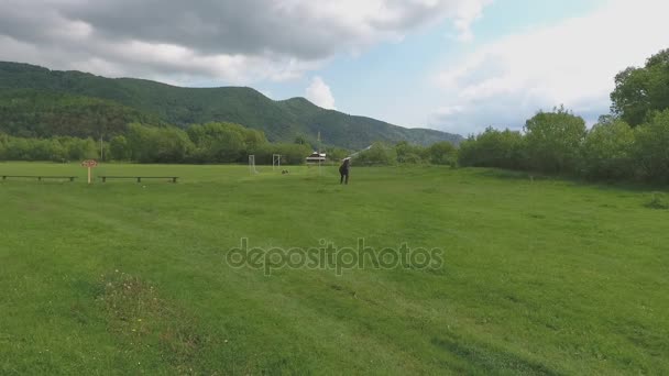 Legelő, a ló szabadban — Stock videók