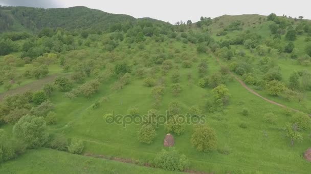 Berg pootjes en bergtoppen — Stockvideo