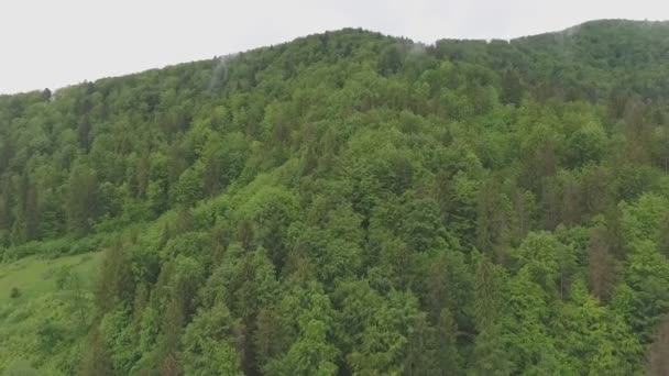 Montañas bajo los árboles verdes — Vídeos de Stock