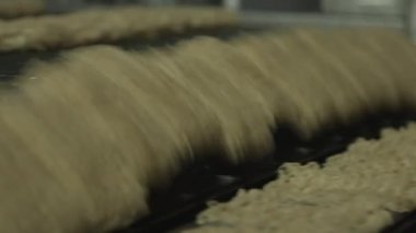 Anlık erişte üretimi üzerinde bitki. Erişte ile konveyör. Yakın çekim. Renk düzeltme.