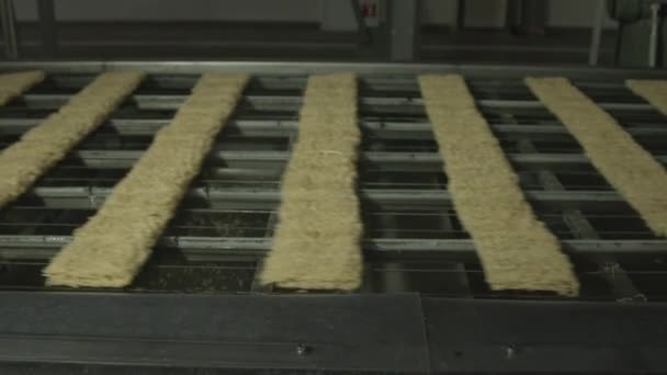 Plant Production Instant Noodles Conveyor Noodles Close Color Correction — Stock Video