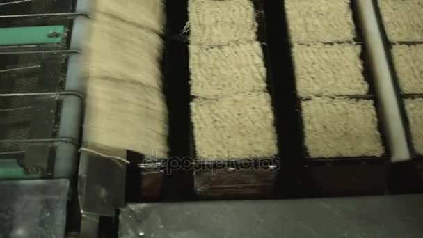 インスタント ラーメンの生産 工場で麺とコンベヤです 色補正なし — ストック動画