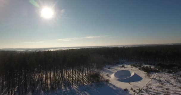 Vinter Skog Skytte Från Drone Skytte Vintern Skog Från Quadcopter — Stockvideo