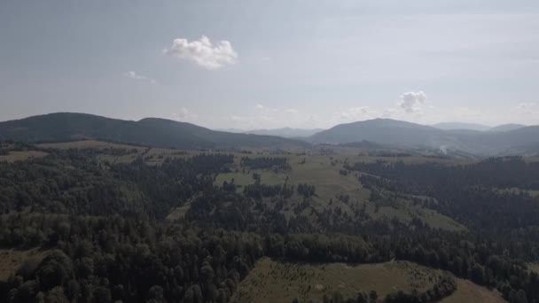 Πανόραμα Των Βουνών Καλοκαίρι Γυρίσματα Από Drone Τετράγωνο Ελικόπτερο Πετά — Αρχείο Βίντεο
