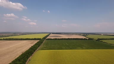 Quadcopter alanları kaldırır / quadcopter panoramada alanları kaldırır. Bu öğleden sonra kaldırılır. Açık gökyüzü bulutlu. Sıcak hava. Ağaçlar için iniş alanları sitelerin bölün. Sanayi bitkileri tarımı.