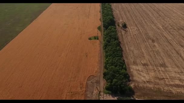 播种和清洁的田地 Quadcopter 移动在被清洗的和被播种的站点之间在领域 农作物的工业耕种 温暖的天气 Quadcopter 在田野和地平线上移除平原 — 图库视频影像