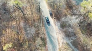 Video çekiyorum. Dronne, araba sürüp durdukça havalanıyor. Ormandaki yol. Sonbahar. Dar yol. Koyu renk araba.