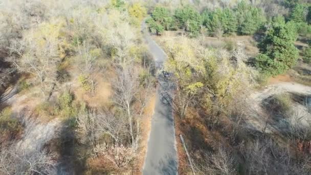 拍摄视频 无人机在森林里的一条路上下了车 无人机跟着车 这辆车是深色的 平均计划 — 图库视频影像