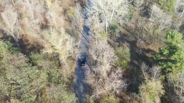 Grabando Vídeo Carretera Coche Pasea Por Bosque Disparando Con Dron — Vídeos de Stock