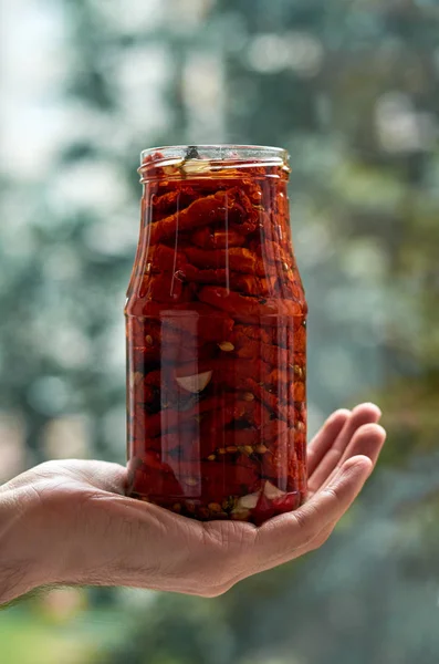 Jar 与许多干红色的西红柿，橄榄和香料在复制空间上模糊的自然背景的人的手中关闭。干的番茄纹理模糊背景关闭。横向的照片 图库图片