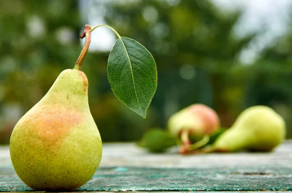Ahşap yeşil kahverengi yaşlı doku arka plan üzerinde yaprakları ile yeşil armut kapatın. Bulanık doğa arka plan üzerinde iki armut