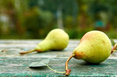 Ahşap yeşil kahverengi yaşlı doku arka plan yakın çekim yaprak yeşil armut. Armut bulanık doğa arka plan üzerinde