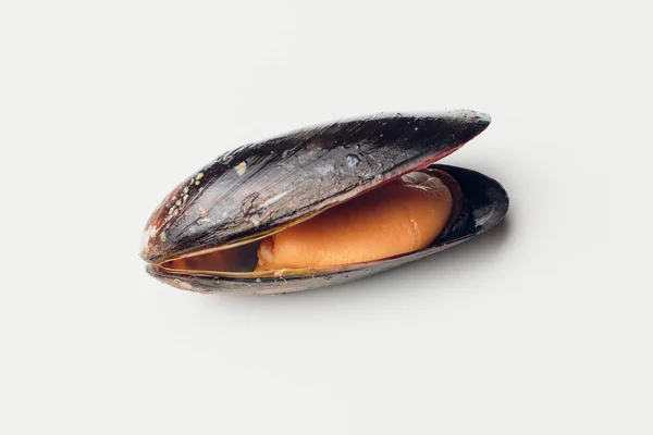 Mussels on board — Stock Photo, Image