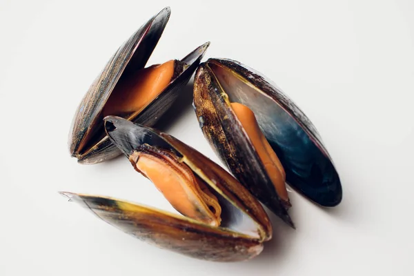 Mussels on board — Stock Photo, Image