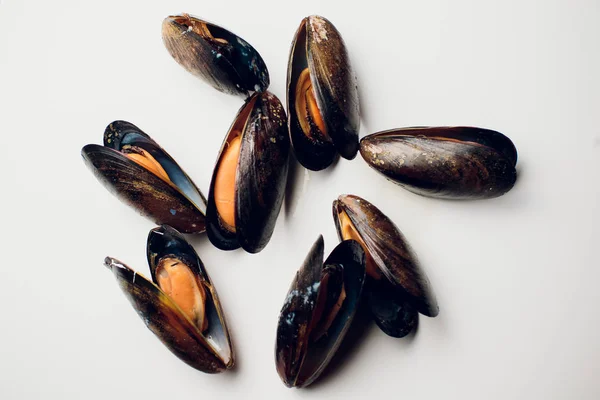 Mussels on board — Stock Photo, Image