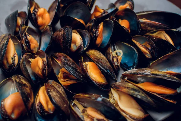 Moules à bord — Photo