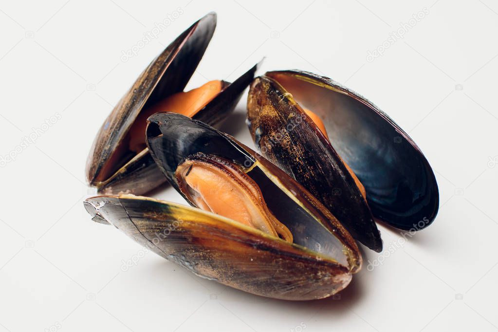 Mussels on board