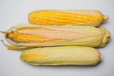 Mısır sarı altın